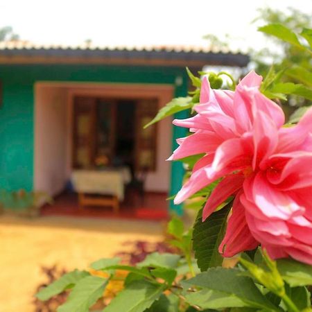Yoho Nilmini Homestay Ella Kültér fotó